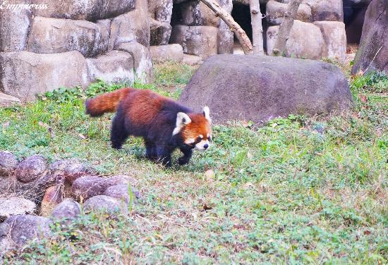 Tennoji Zoo